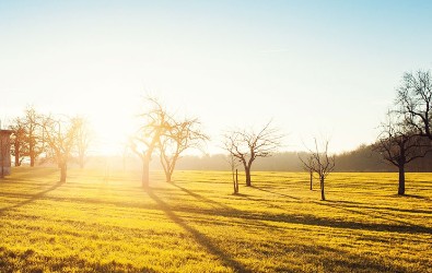 Voor kandidaten - accountancy professionals - Rousch